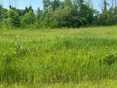 Vacant Land in South Stormont