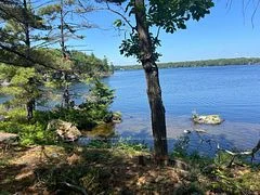 LOT 1 BALA PARK, Muskoka Lakes, ON, P0B 1J0