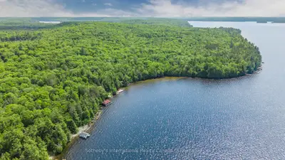Detached in Lake of Bays