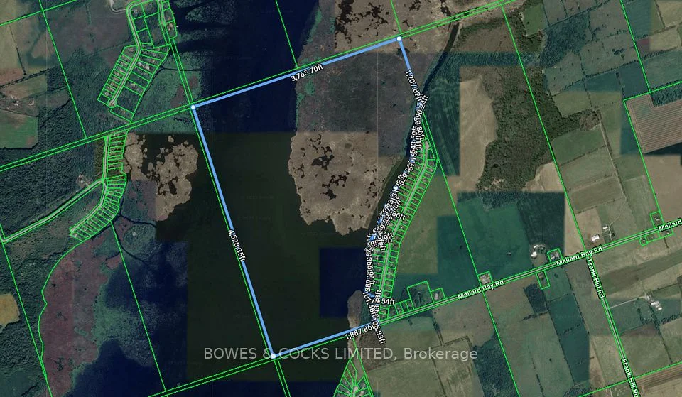 0 Cedarview Drive, Kawartha Lakes, ON K0L 2W0