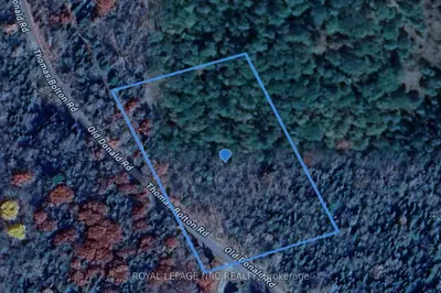 Vacant Land in Dysart et al