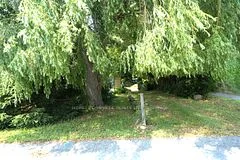 22 Price Street W, Brighton, ON K0K 1H0
