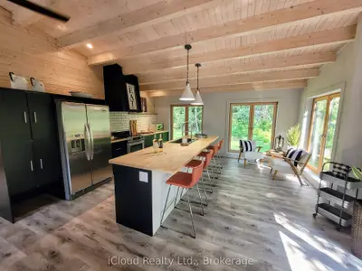 Detached in Burk's Falls