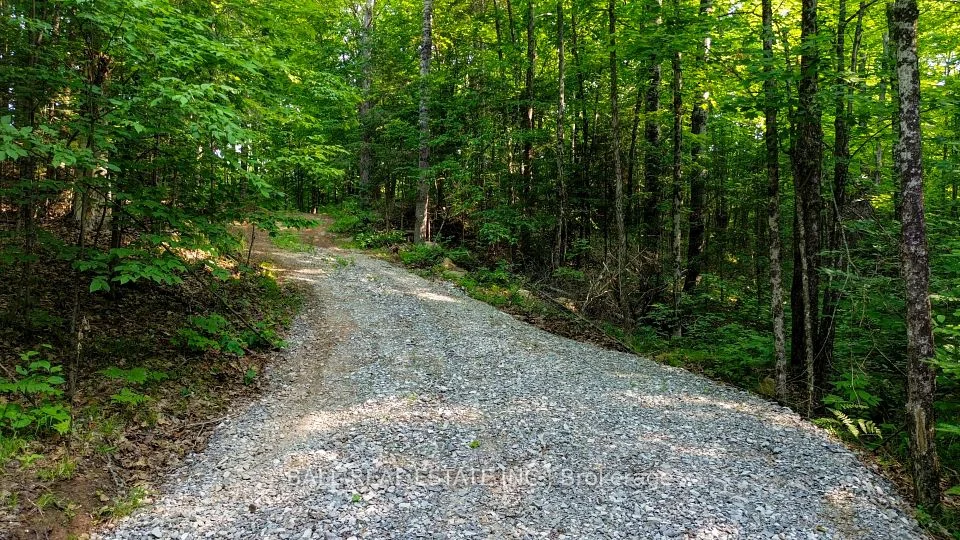 00 Rose Island Road, Wollaston, ON K0L 1P0