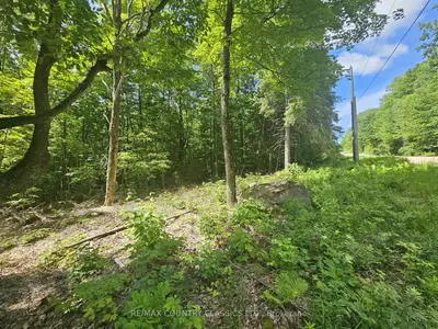 Vacant Land in Brudenell, Lyndoch and Raglan