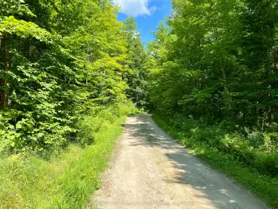 0 N Conc. Rd 10 And 11 Concession N, Parry Sound Remote Area, On P0h 1a0