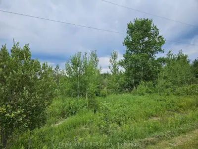 Vacant Land in Southgate