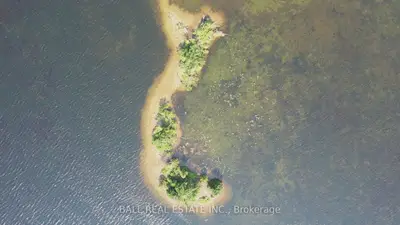 Pt Lt 1 Con 5 Island, Kawartha Lakes, On K0m 2b0