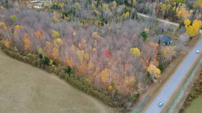 Vacant Land in Horton