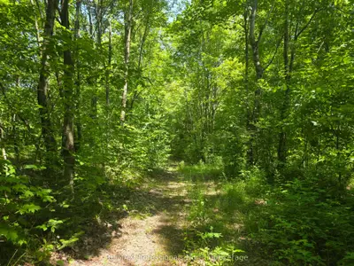 Vacant Land in Algonquin Highlands