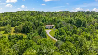 Detached in Southgate