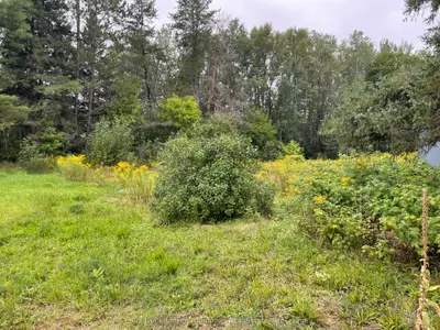 Vacant Land in Kearney