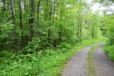 Vacant Land in Magnetawan