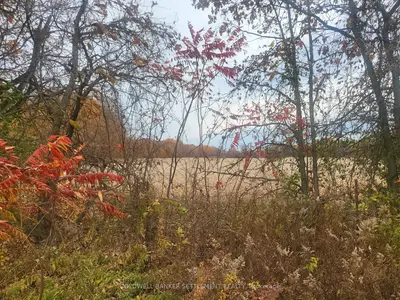Vacant Land in Rideau Lakes