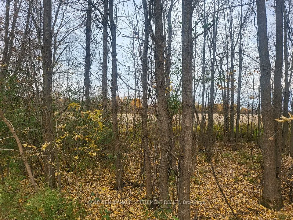 Lot 5 Bush Road, Rideau Lakes, ON K0G 1E0