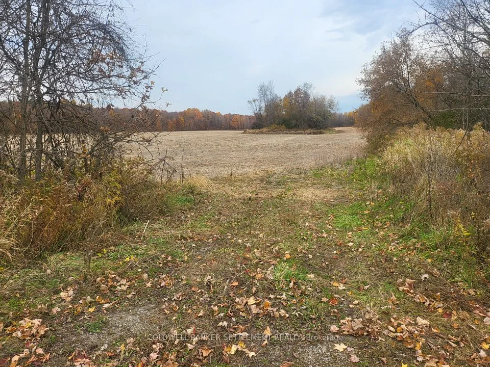 Lot 2 Bush Road, Rideau Lakes, ON K0G 1E0
