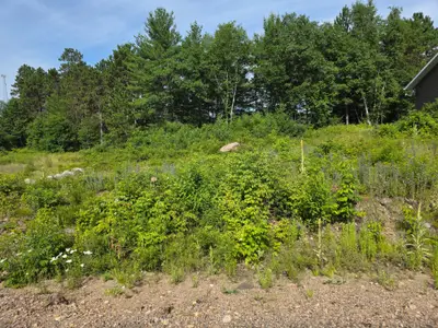 Vacant Land in Madawaska Valley