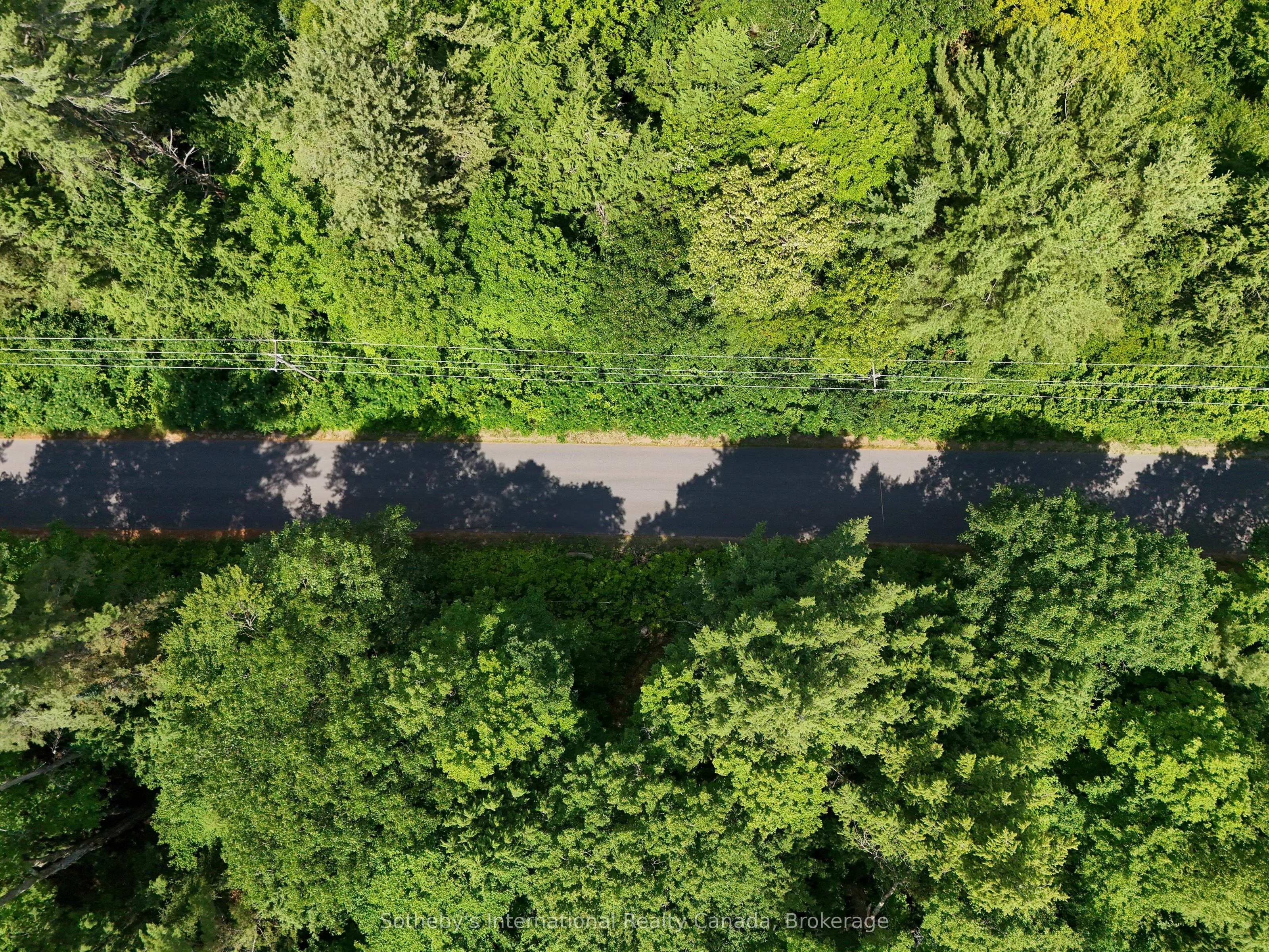 1098 Old Hwy 117 , Lake of Bays, ON P0B 1A0