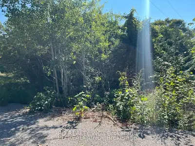 Vacant Land in Asphodel-Norwood