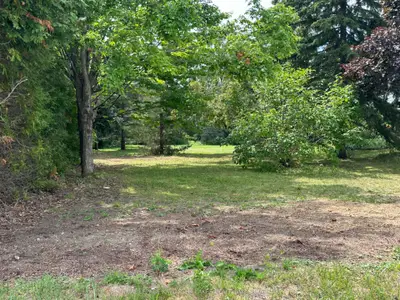 Vacant Land in Kawartha Lakes