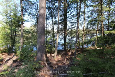Vacant Land in Trent Lakes