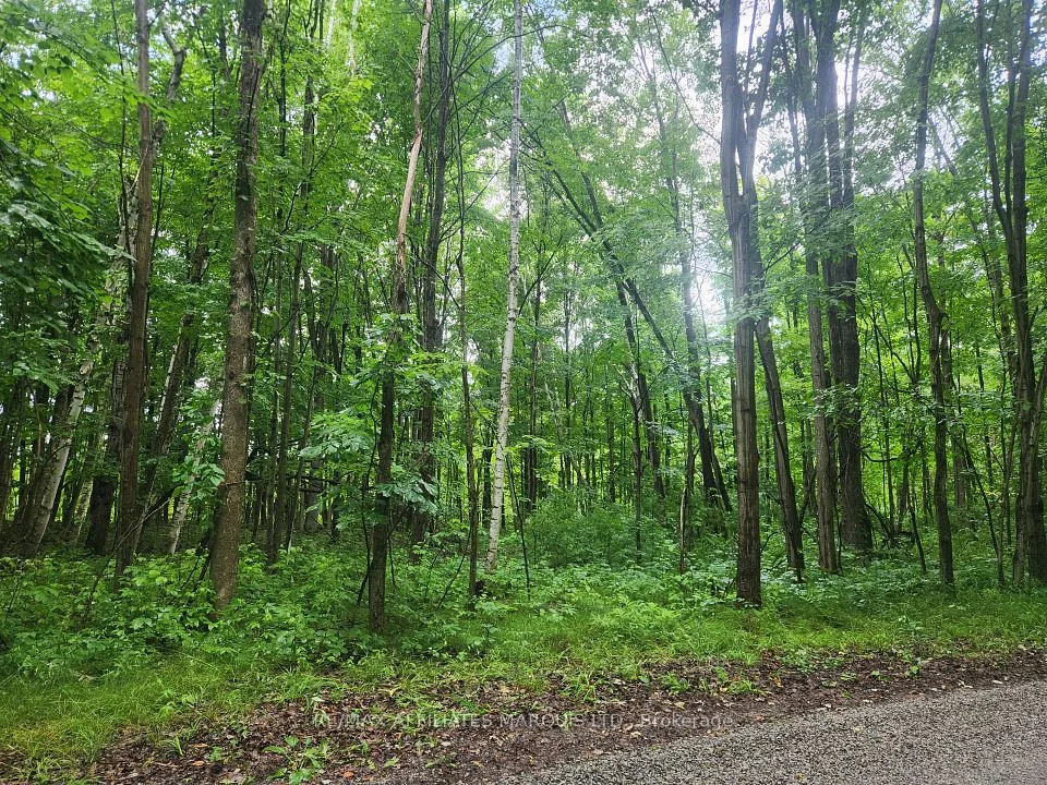 LOT Cedar Sands Road, Rideau Lakes, ON K0E 1N0