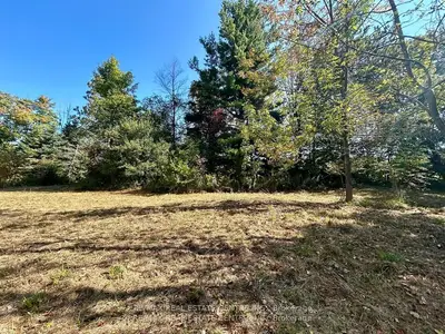 Vacant Land in Mulmur