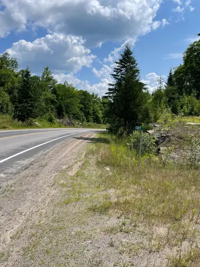 Vacant Land in North Kawartha