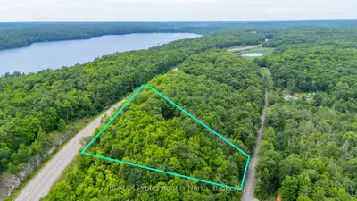 Vacant Land in Minden Hills