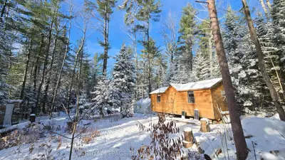 Vacant Land in Bonnechere Valley