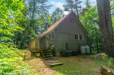 Detached in Lake of Bays
