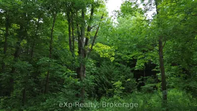 Vacant Land in Chatsworth