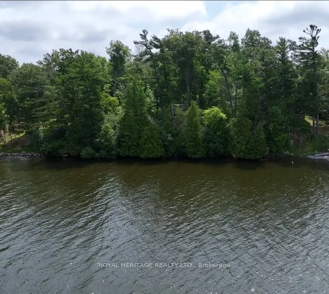26 Cow Island, Otonabee-South Monaghan, ON K0L 1B0