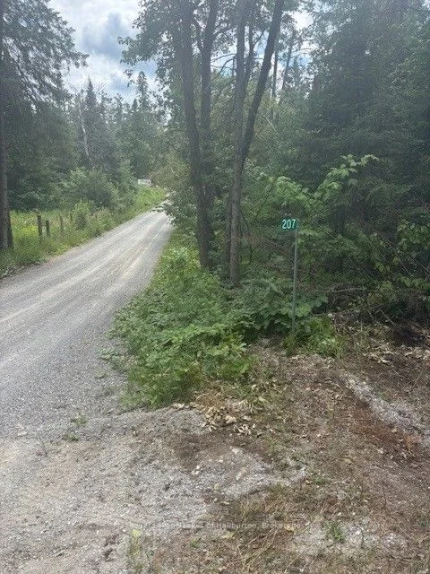 207 Dutch Line, Trent Lakes, ON K0M 2A0