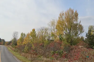 Vacant Land in Prince Edward County