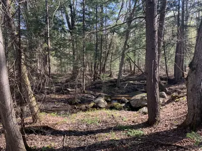Vacant Land in Dysart et al