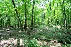 197 Lakeshore Road, Armour, ON P0A 1C0