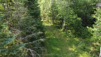 Vacant Land in Highlands East