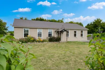 Detached in Loyalist