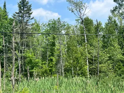 Vacant Land in Magnetawan
