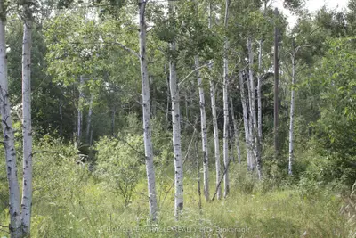 Vacant Land in Rideau Lakes