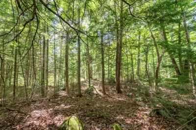 Vacant Land in North Frontenac