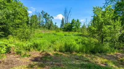 Vacant Land in Tudor & Cashel