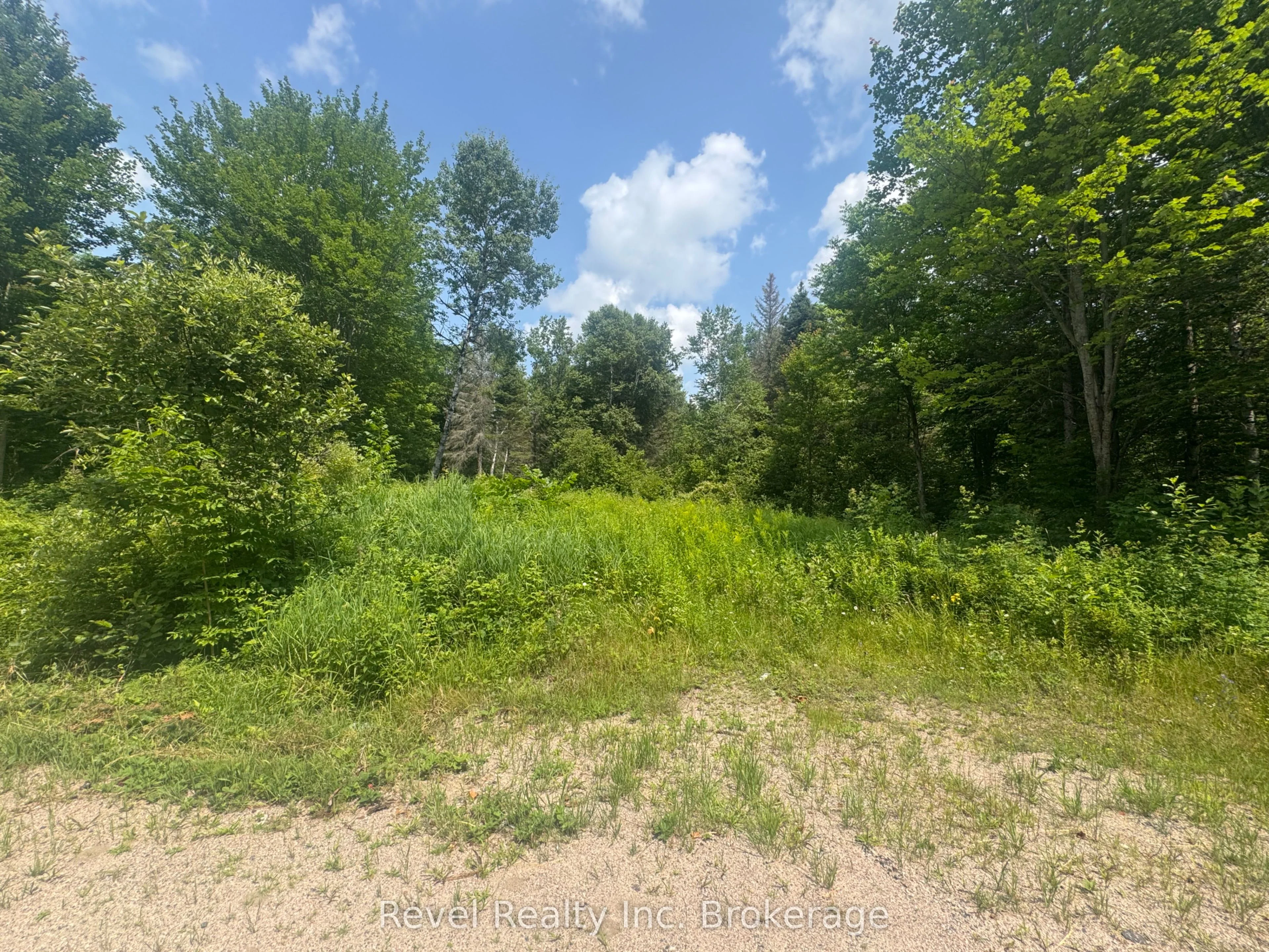 Lot 1 Highway 533 , Mattawan, ON P0H 1V0