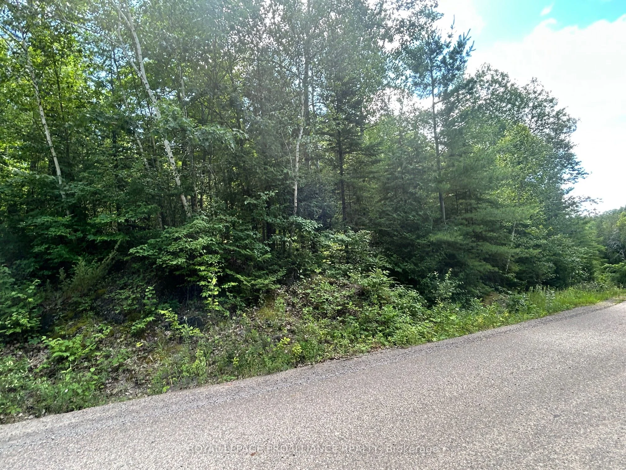 0 Trebbien Road, Bonnechere Valley, ON K0J 1T0