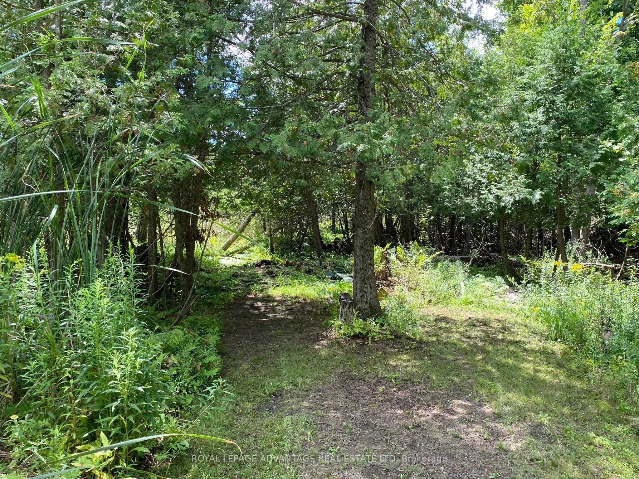 14289 County 15 Road, Merrickville-Wolford, ON K0G 1N0