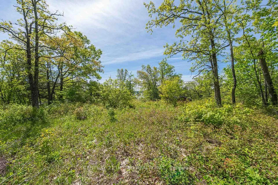 0 Northeys Bay Road, North Kawartha, On K0l 1a0