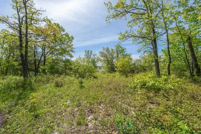 Vacant Land in North Kawartha