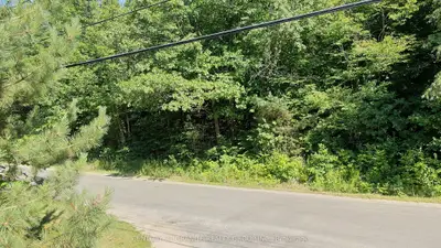 Vacant Land in Bancroft