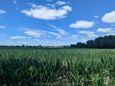 Vacant Land in Kingston